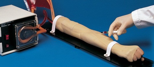 IV Trainer_Arterial and Venous Patient Training Arm S402